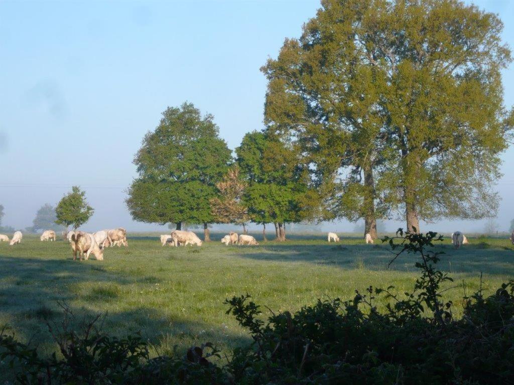La Thibaude - Livry Bed and Breakfast Livry  Exteriör bild